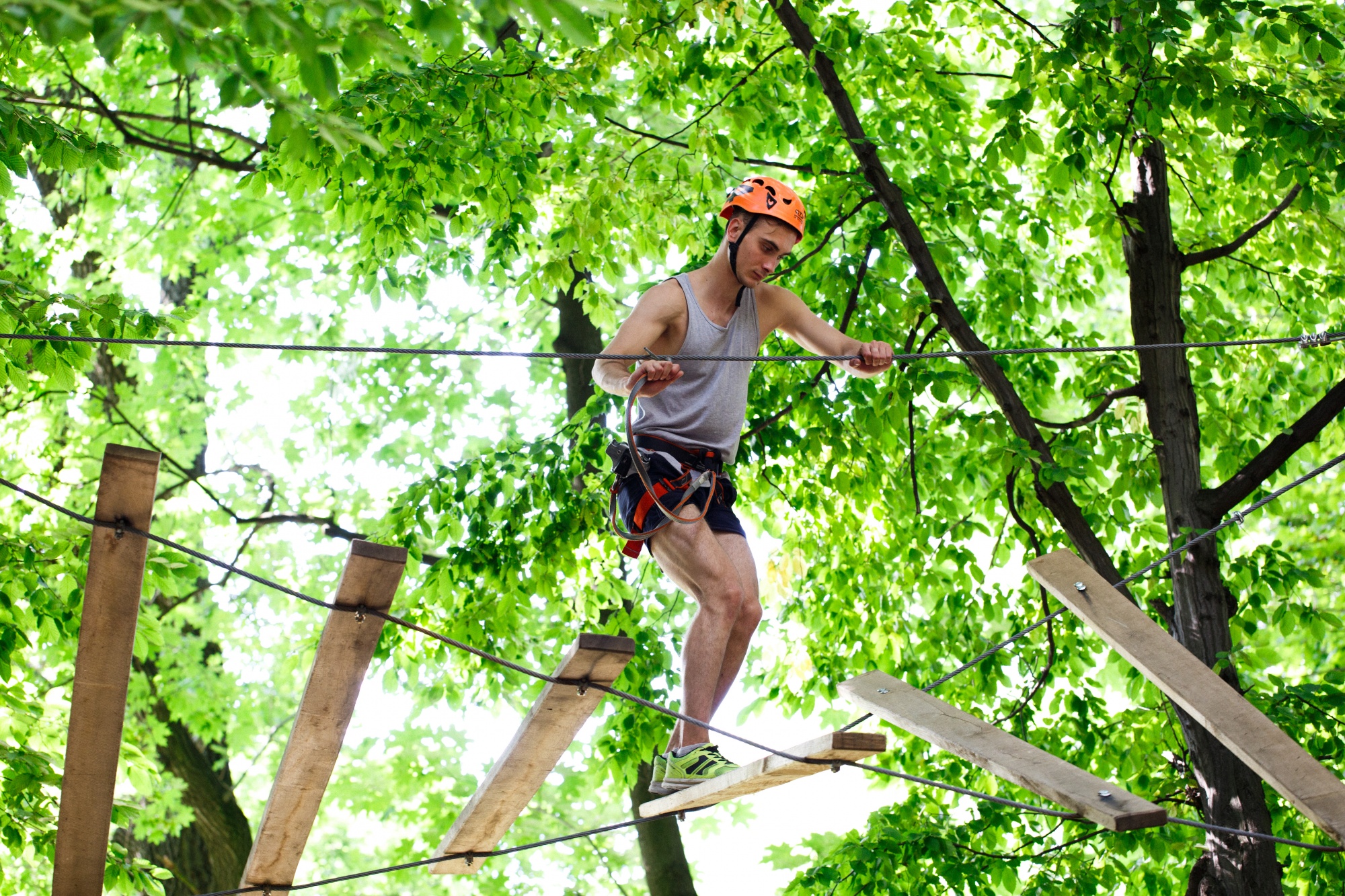Employé concentré sur un parcours acrobatique en hauteur dans les arbres